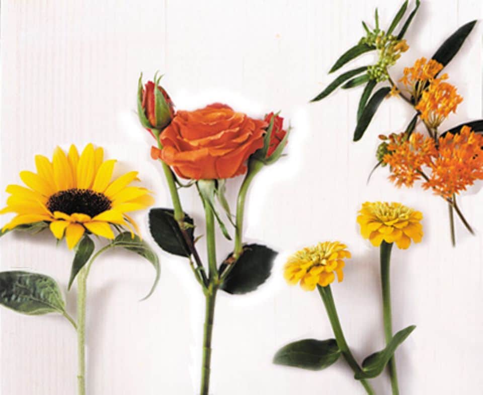 Zu unserem Strauß gehören: Sonnenblumen, Rosen, Zinnien und Seidenblumen (von links nach rechts).