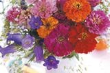 Herbst: Blumenstrauß aus Zinnien, Glockenblumen und Seifenkraut - Bild 10