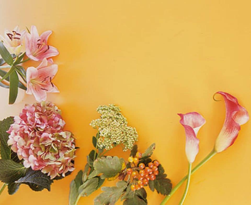 Zu unserem Strauß gehören: Lilien, Hortensien, Fetthenne, Mehlbeere und Calla (von links nach rechts).