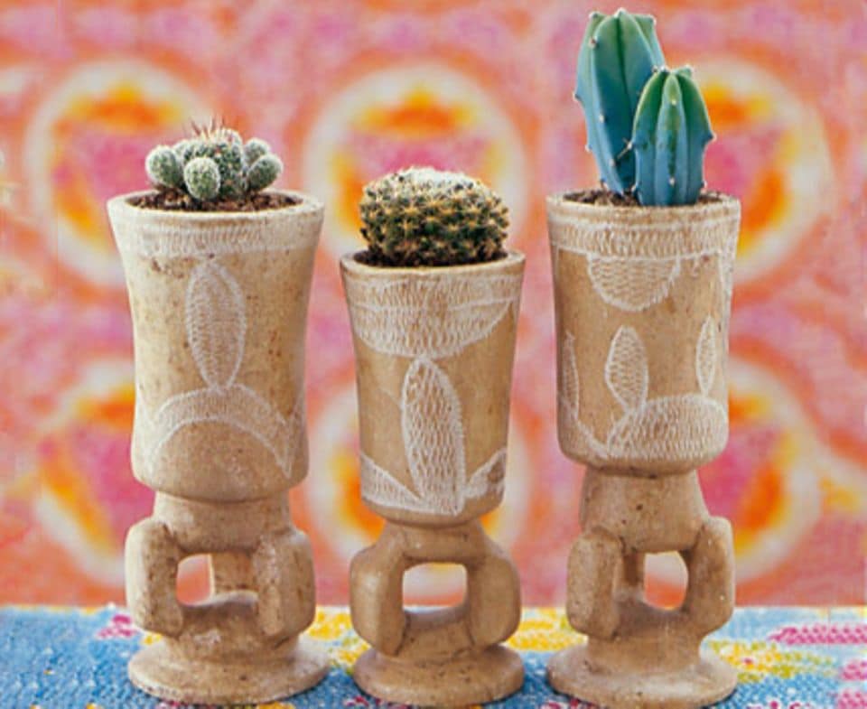 Kaktus im Minitopf: Solange der pummelige Warzenkaktus (Mammillaria) und der säulenförmige Myrtillocactus (rechts) noch klein sind, passen sie bequem in Minitöpfe.