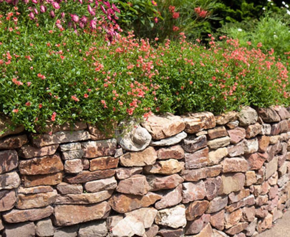 Grundkurs Gartengestaltung: Mauern und Treppen