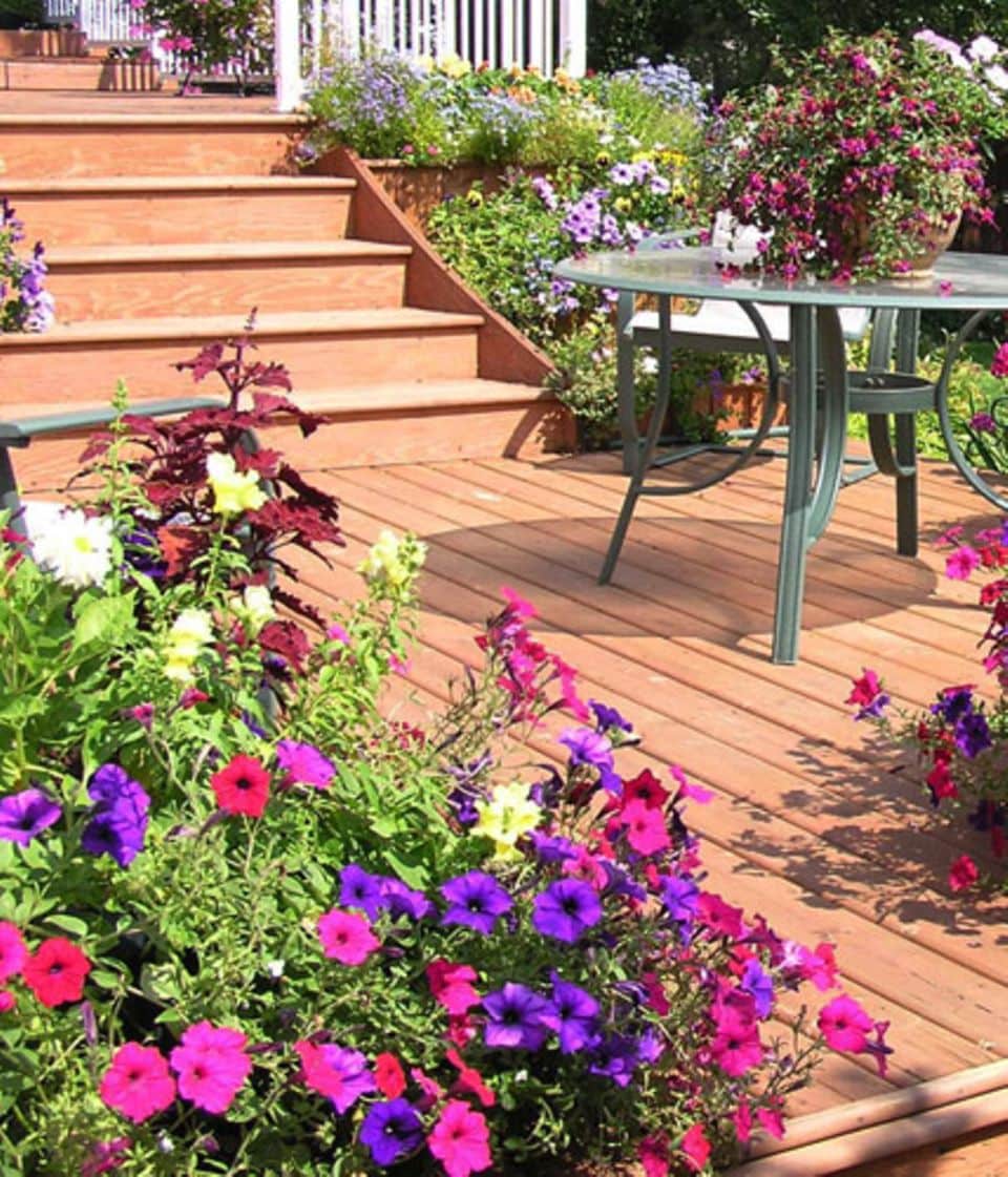 Grundkurs Gartengestaltung: Mauern und Treppen