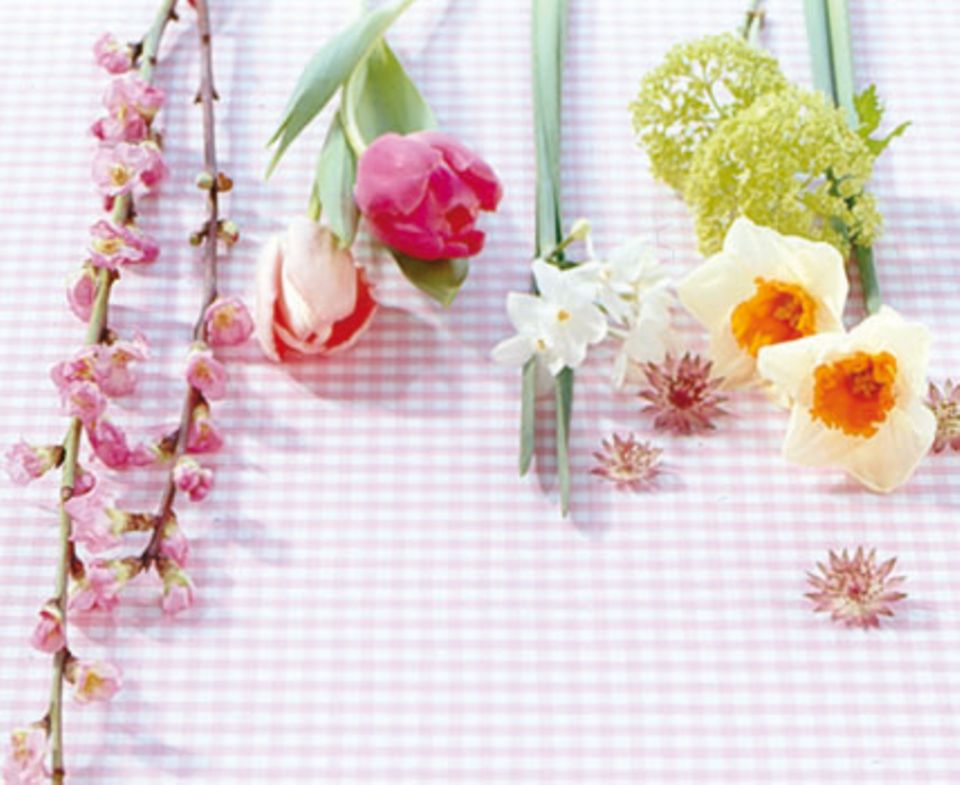 Damit festliche Stimmung auch in Ihrem Heim einkehrt, geben wir Ihnen hier die genaue Zusammenstellung von unserem Blumenstrauß (von links nach rechts): Pfirschblüten, Tulpen, Tazetten, Sterndolden, Schneebälle und weisse Narzissen.
