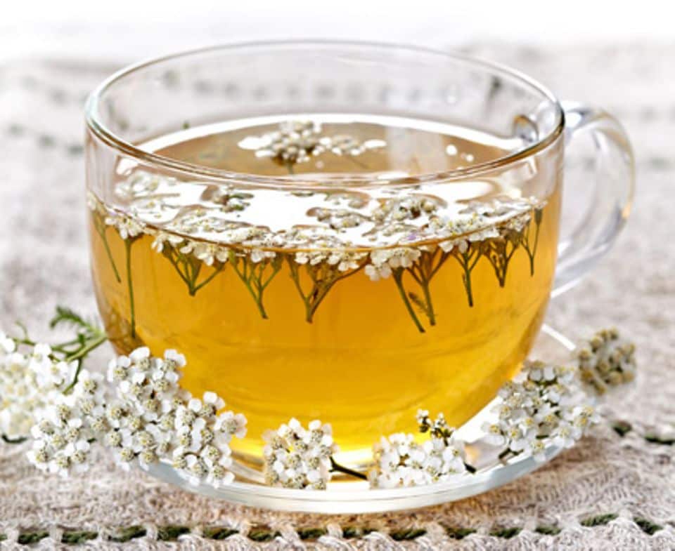 Schafgarbe ist eine Heilpflanze und hilft als Tee bei Magenbeschwerden.