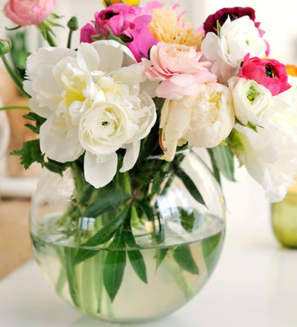 Wechseln Sie das Vasenwasser regelmäßig aus, dann bleiben die Blumen länger frisch.