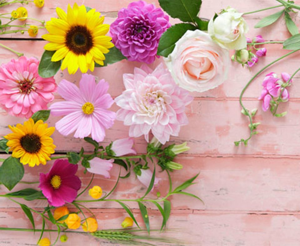 Für diesen sommerlichen Blumenstrauß benötigen Sie (von links unten nach rechts oben): Weizen, Chinesische Laternenblume, Kosmee, Glockenblume, Sonnenblume, Trollblume, Dahlie, Eden-Rose und Wicken