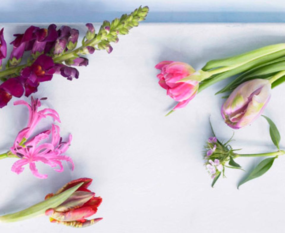 Für diesen hübschen Blumenstrauß haben wir folgende Pflanzen benutzt (links; von oben nach unten): Löwenmäulchen, Nerine und Papageientulpe; (rechts; von oben nach unten): Gefüllte Tulpe, Papageientulpe und Bartnelke