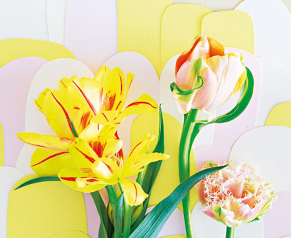 Tulpen mit fedrigen Formen oder geflammten Blüten wirken besonders frisch und knackig. Durstig sind sie alle in der Vase, also gut anschneiden und regelmäßig Wasser nachfüllen.
