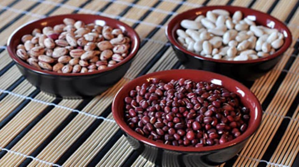 Es gibt über 500 verschiedene Sorten Bohnen in unterschiedlichsten Formen und Farben: weiße Bohnen, Borlotti-Bohnen und rote Bohnen.