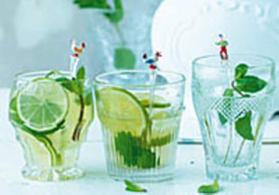 Getränke selber machen – leckere und gesunde Durstlöscher