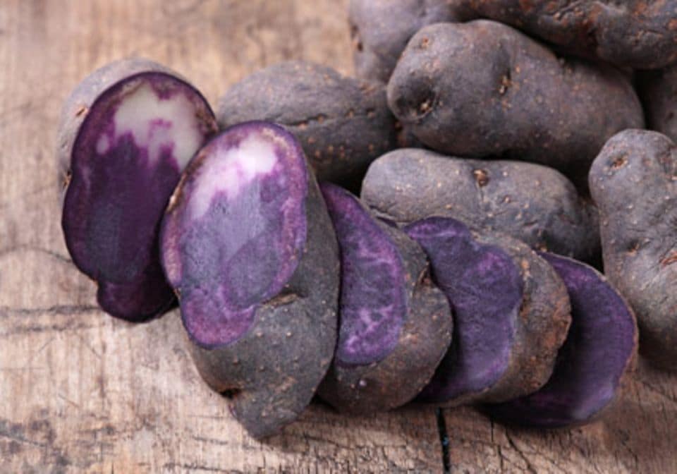 Farbenfrohe Kartoffeln: Die lilafarbene Vitelotte, auch Trüffelkartoffel genannt, erinnert geschmacklich an Esskastanien.