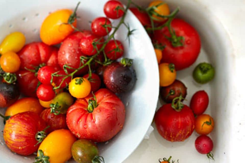 Tomaten gibt es in verschiedenen Formen und Farben.