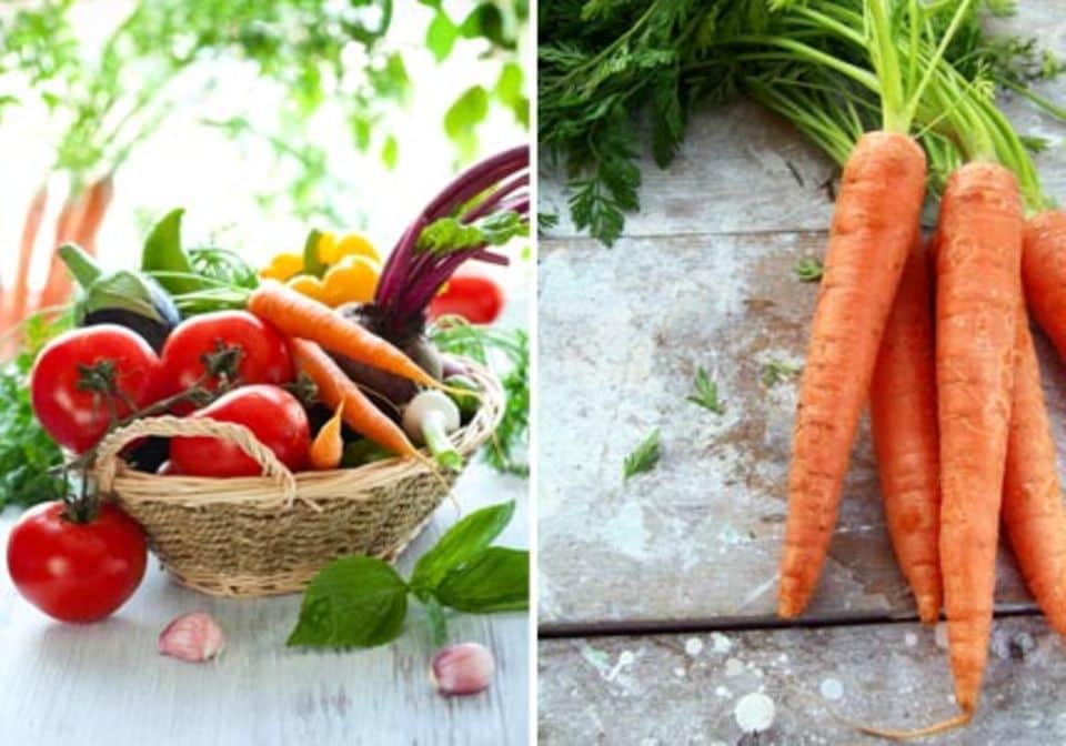 Die Basics der vegetarischen Ernährung