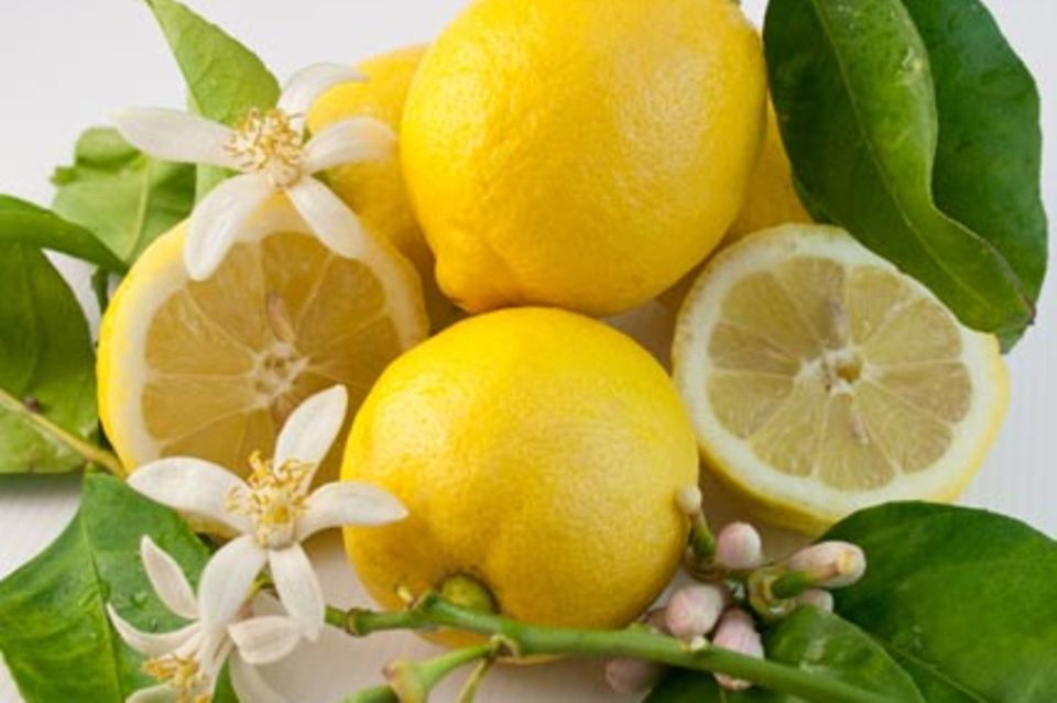 Zitrone - eine echte Gute-Laune-Frucht