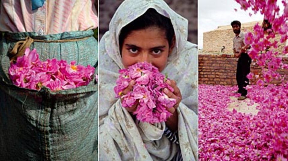 Für Nachhaltigkeit und fairen Handel: das Börlind-Projekt "Rosen statt Opium". Foto: Börlind