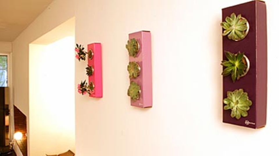 Flowerbox: trendige Mauerblümchen