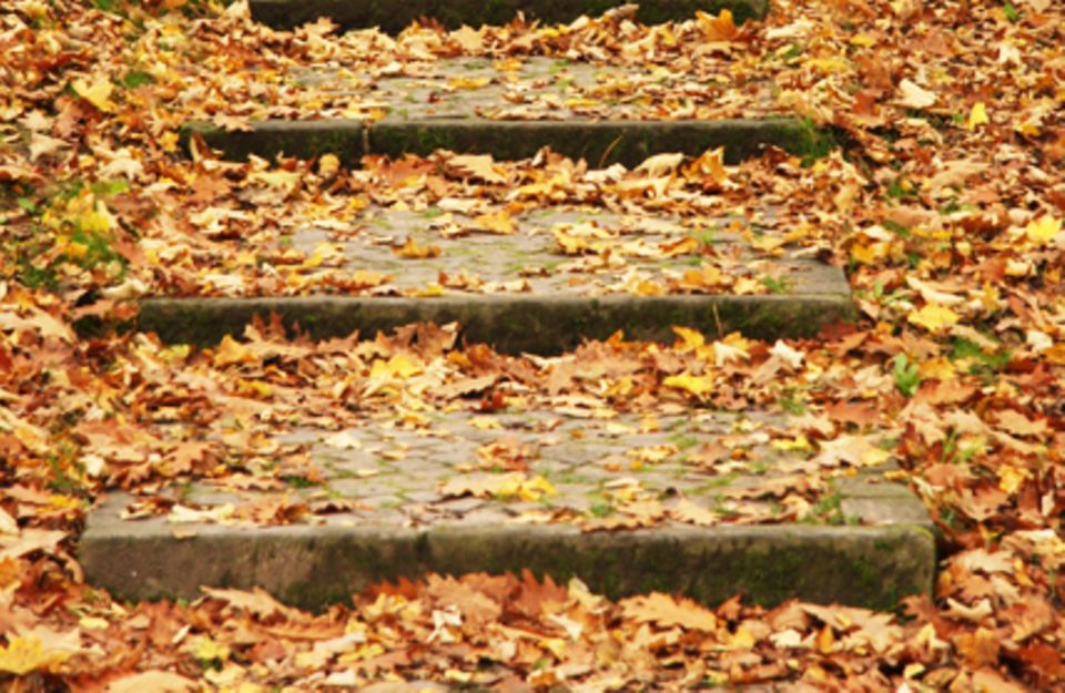Auf Gehwegen wird feuchtes Laub schnell zur Rutschgefahr. Daher sollten Sie stets von Blättern befreit werden.