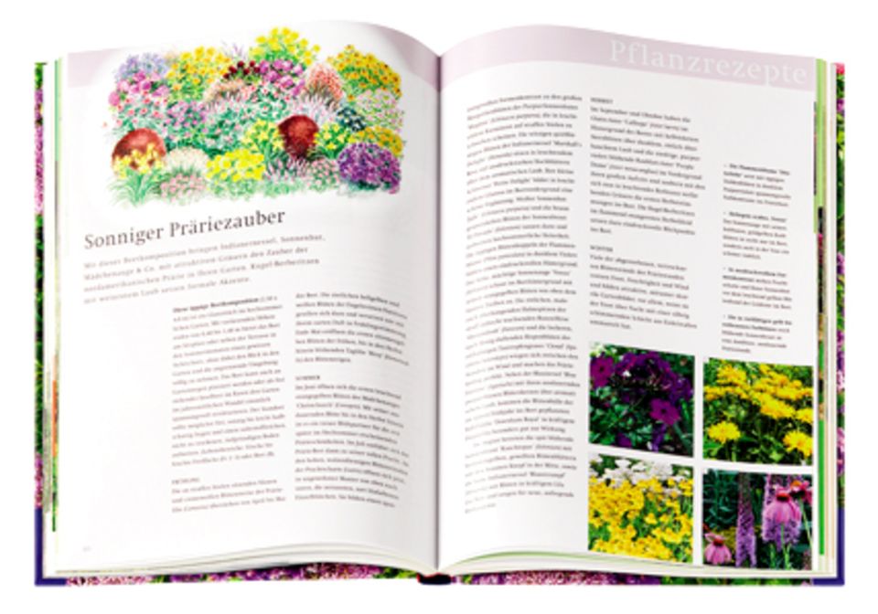 Ein Handbuch voller Gestaltungs- und Bepflanzungsmöglichkeiten für jede Jahreszeit
