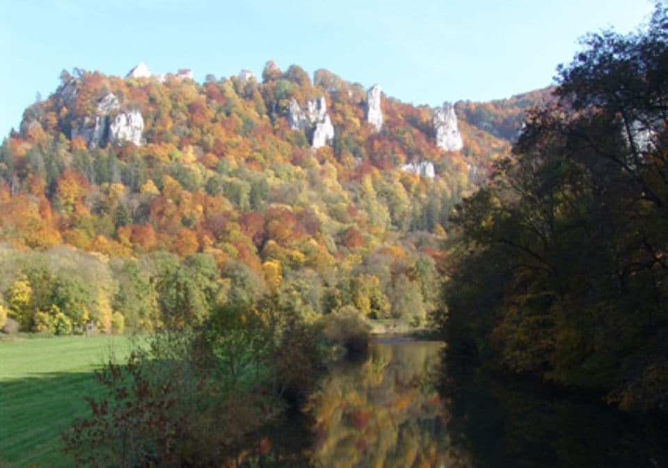 Im Herbst leuchtet der Naturpark Obere Donau in wunderbaren Farben.