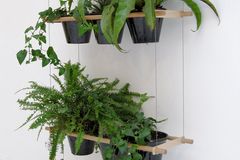 Pflanzsystem "Etcetera" für Zimmerpflanzen von Edition Compagnie