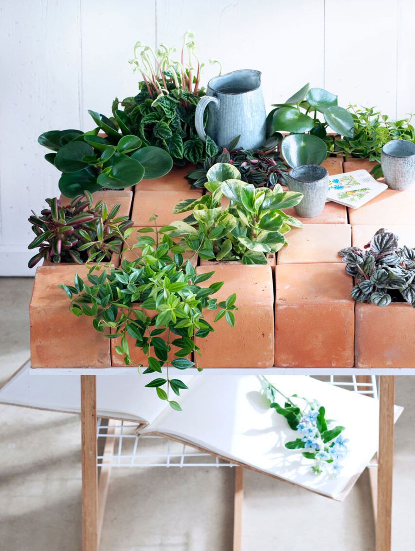 Zimmerpflanzen - DIY-Idee: Mit Tontöpfen einen Blumentisch kreieren