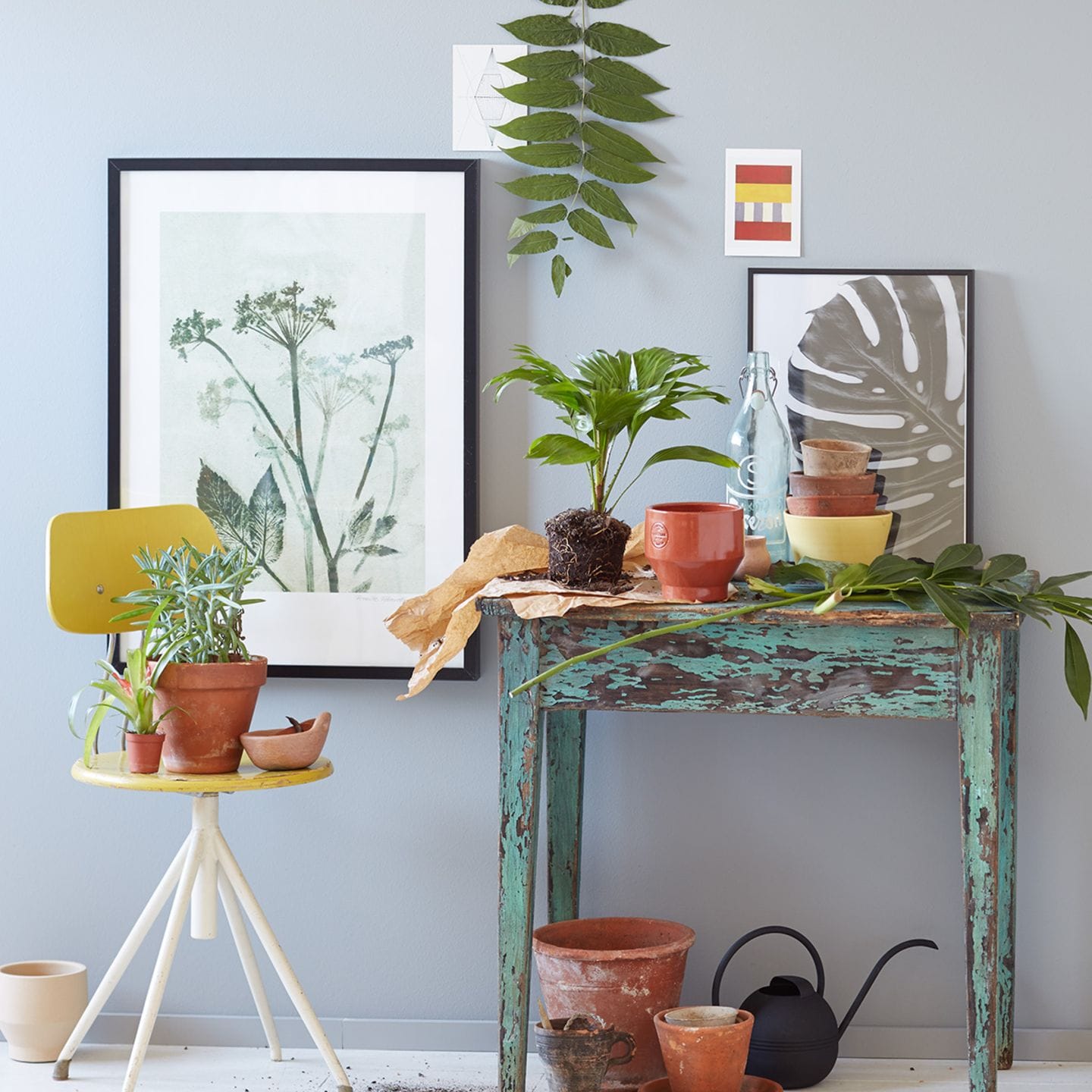 Pflanzen und Pflanzendeko an der Wand