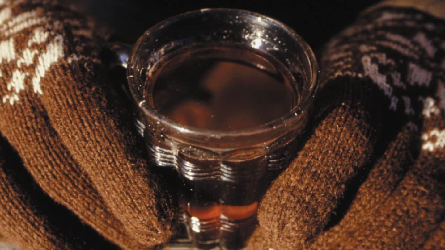 Fliederbeer-Mandarinen-Punsch Rezept - [LIVING AT HOME]