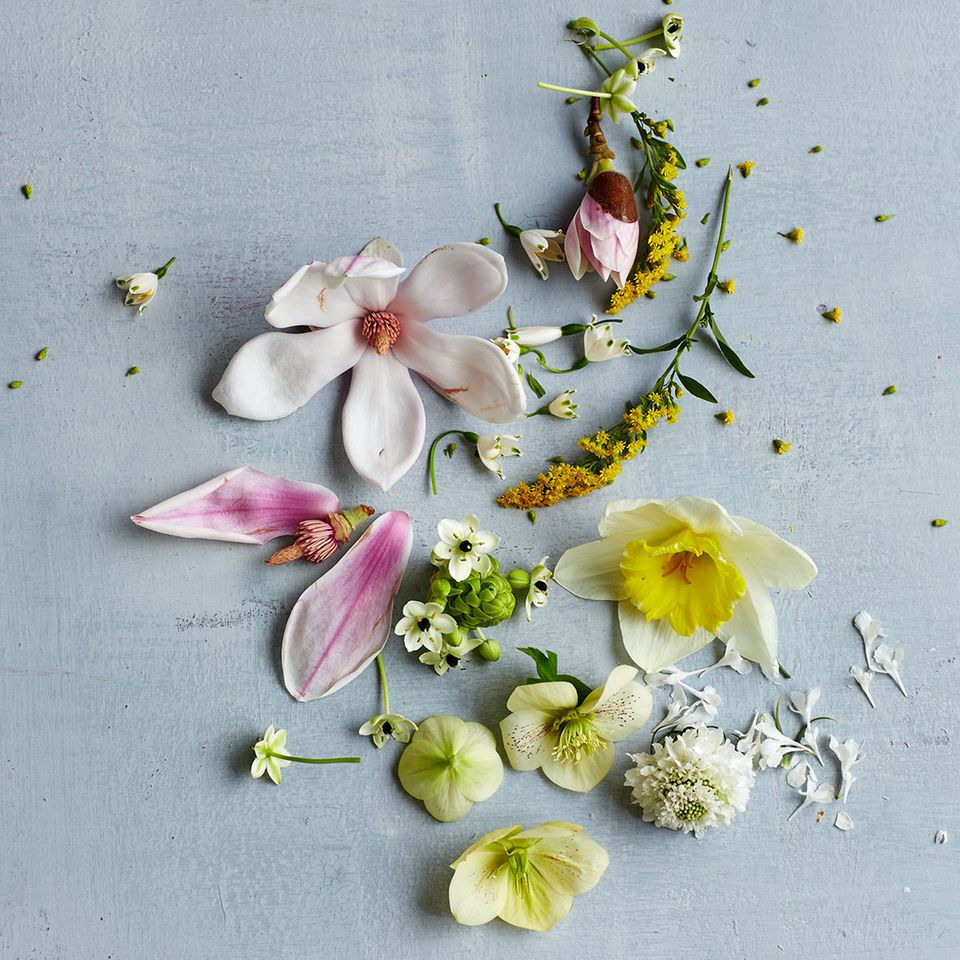 Blumenstrauß mit Magnolien und Narzissen