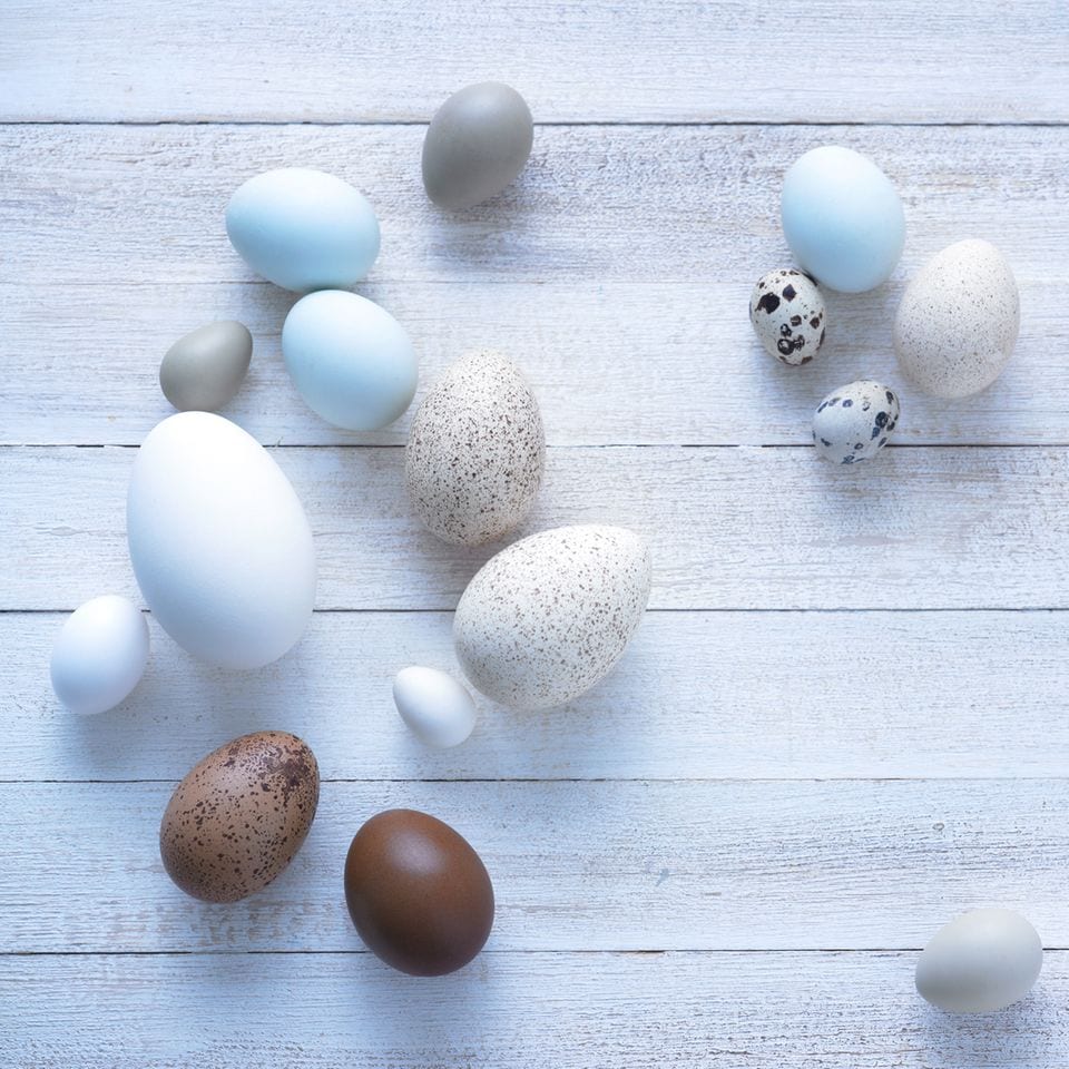 Ostereier gestalten: verschiedene Ei-Sorten