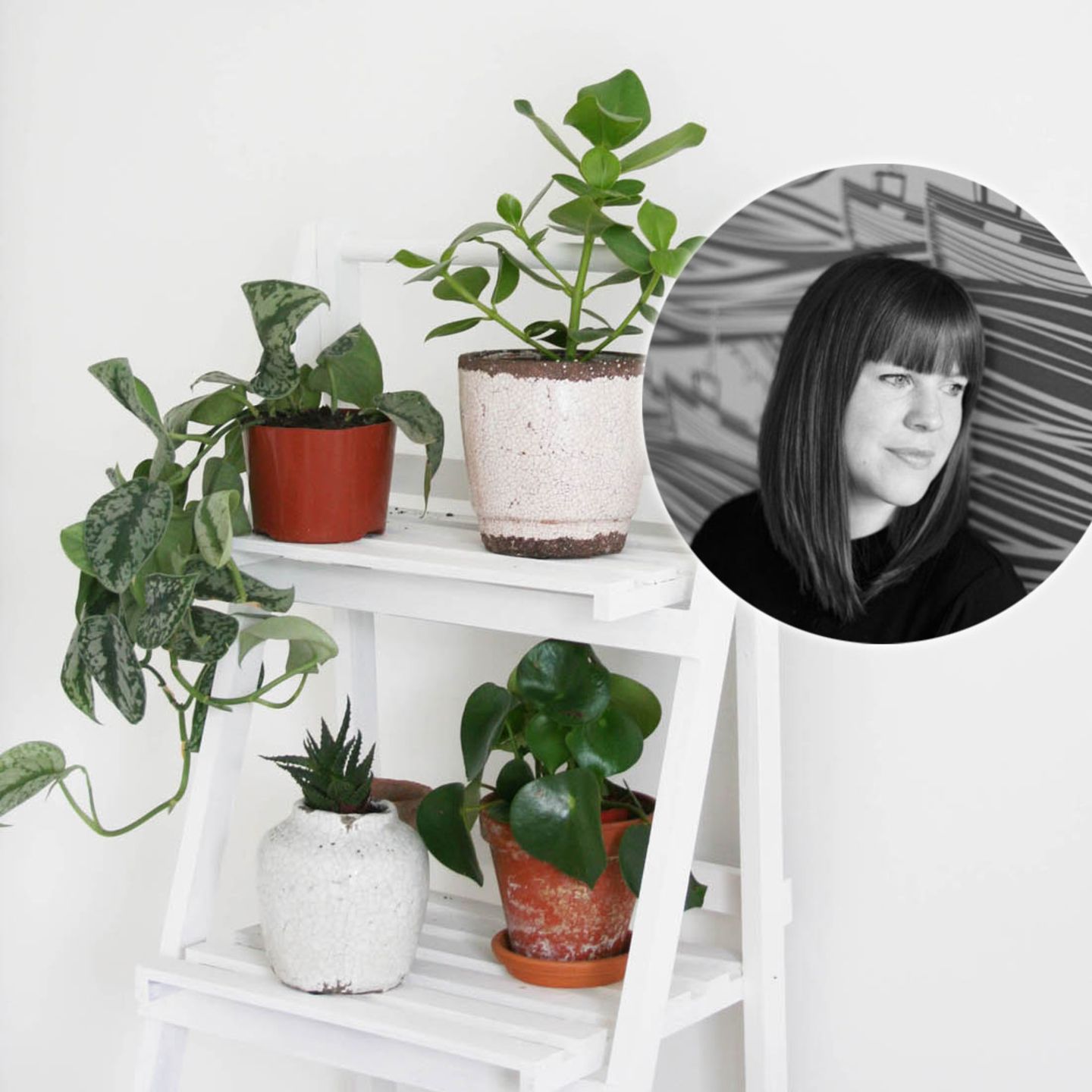 Zimmerpflanzen-Liebe: Apartment Apothecary