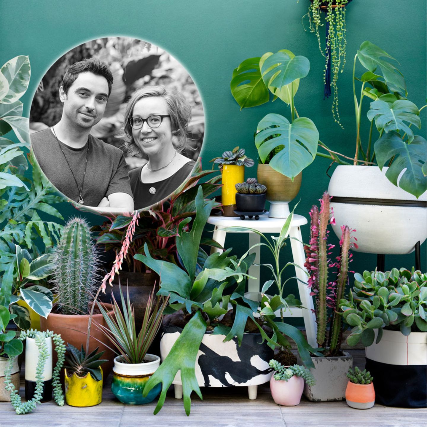 Pflanzensafari: Urban Jungle Bloggers