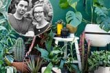 Pflanzensafari: Urban Jungle Bloggers
