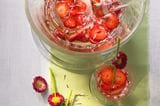 Rezept: Erdbeer-Riesling-Bowle