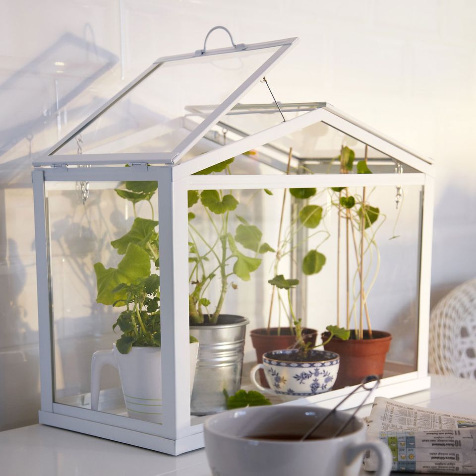 Gewächshaus "Socker" von Ikea [LIVING AT HOME]