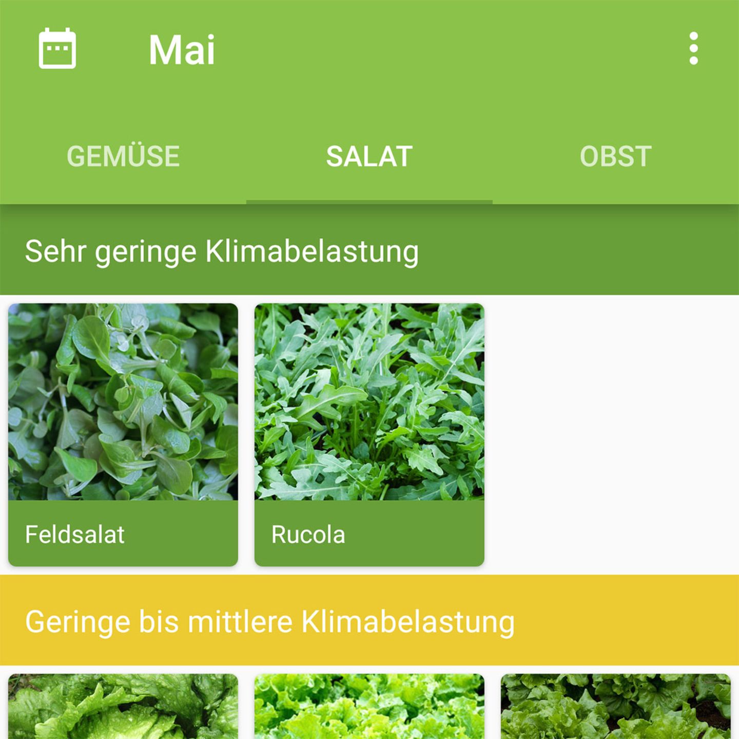 Screenshot der App GrünZeit
