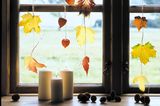 Herbstdekoration am Fenster