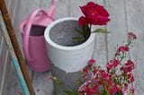DIY & Deko: Blumentöpfe farbig verschönern - Bild 4
