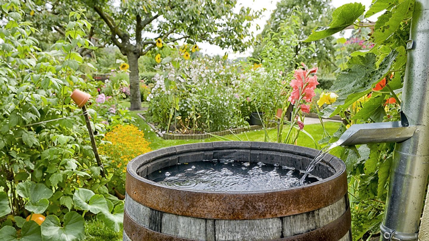Naturnah gärtnern nachhaltig & ökologisch [LIVING AT HOME]