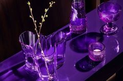 Glasware in "Amethyst" von Iittala