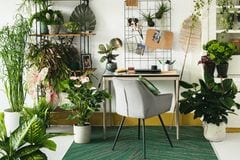 Home Office mit vielen Grünpflanzen dekoriert