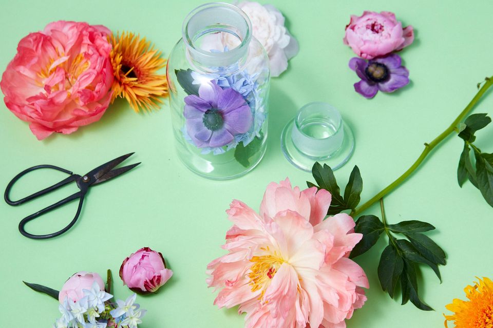 Einzelne Schnittblumen mit Schere und Apothekerglas auf mintgrünem Hintergrund
