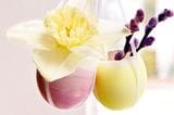 Ostereierschalen hängen als Vasen mit Blumen an einem Ast